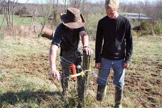 As winter fades away, Polyface Farm employees check the infrastructure for damage and make repairs if necessary.